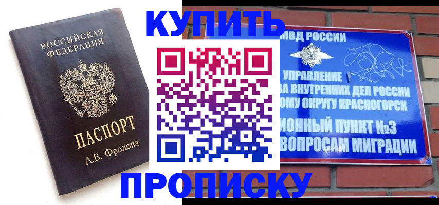 прописка поиск в Бердске
